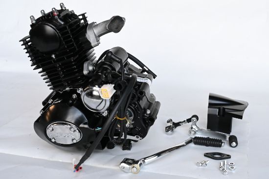 PictureAltAttribute - 32684E-Motorblok-50cc-Mash-Fifty-Lifan-zwart-JPG